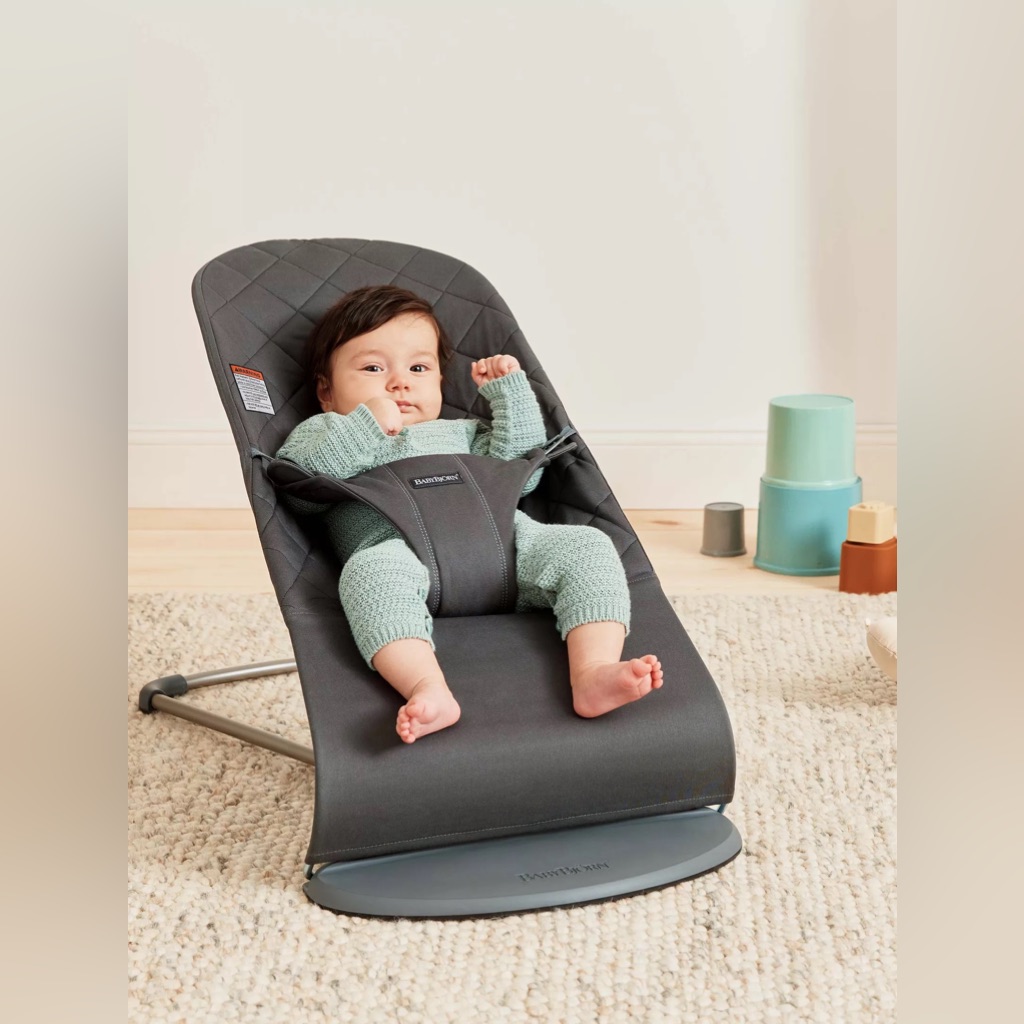 Baby Bjorn Bouncer Chair With 2 Covers